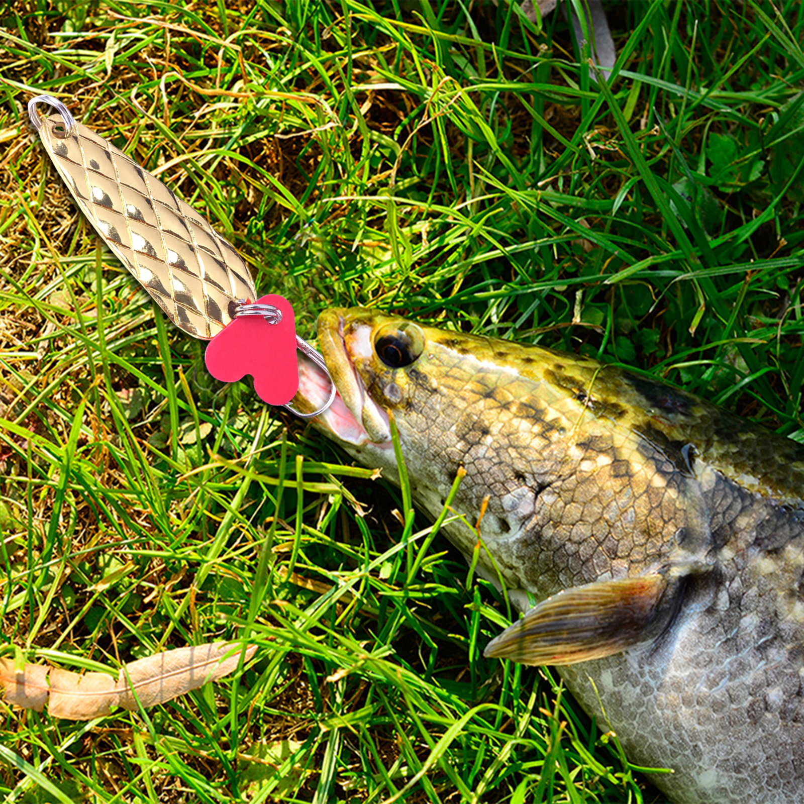 Metal Spoons Fishing Lures 9g  - Fishing Lure Spoon 评论和价格