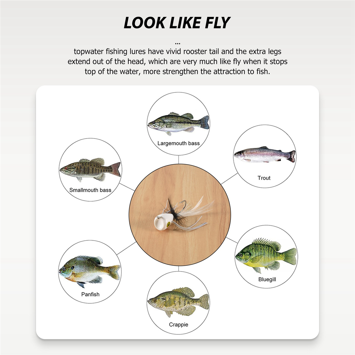 10PCS Fly Fishing Poppers,Topw - Fishing Lure Popper 评论和价格